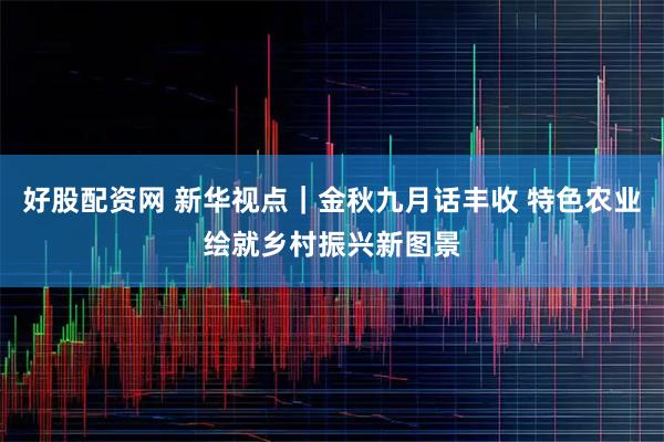 好股配资网 新华视点｜金秋九月话丰收 特色农业绘就乡村振兴新图景
